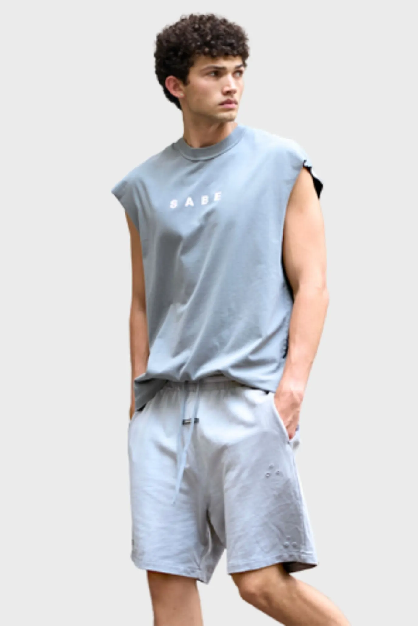 Шорты Sabe Shorts Washed Grey 2