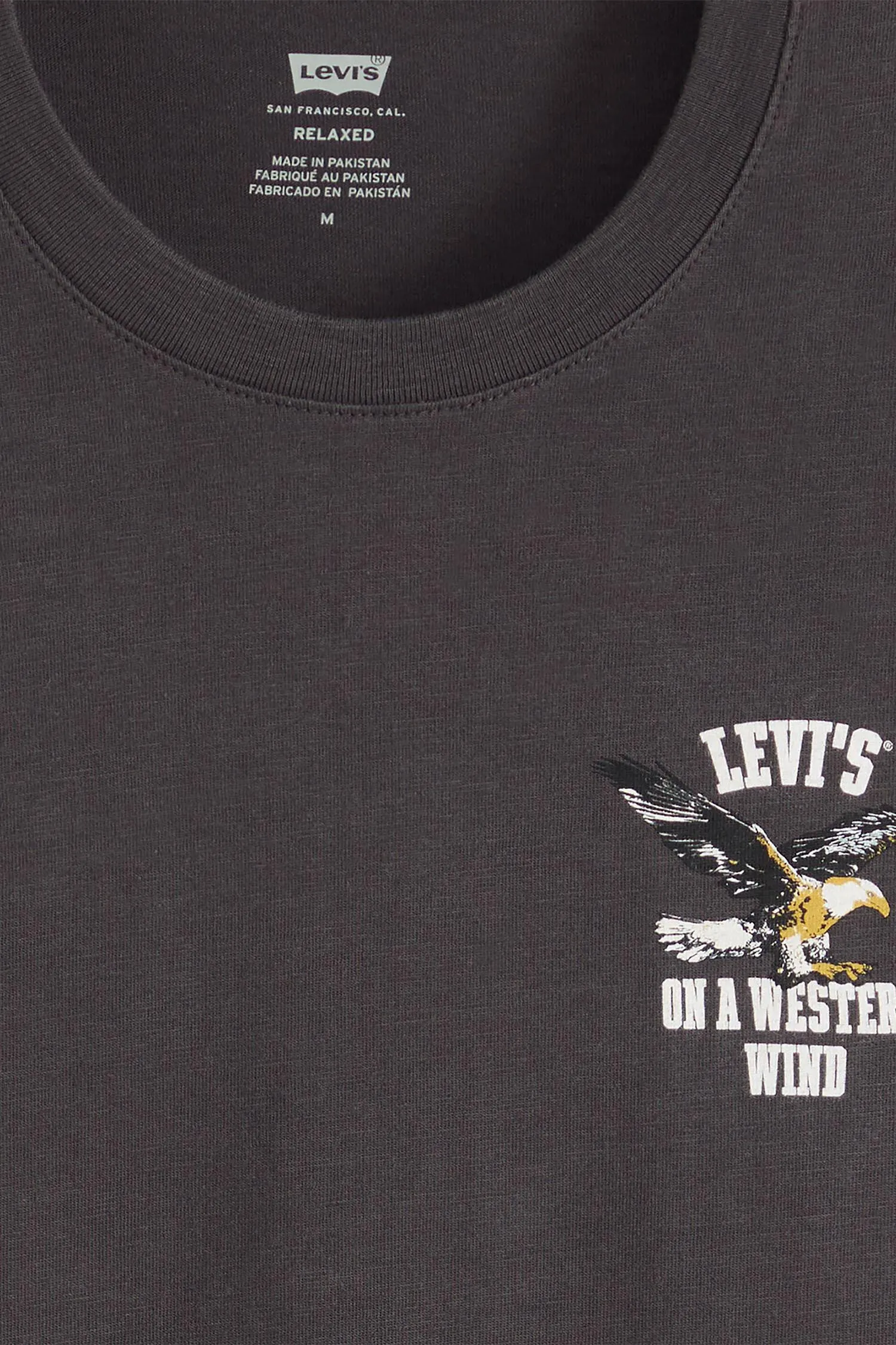 Мужская черная футболка 6