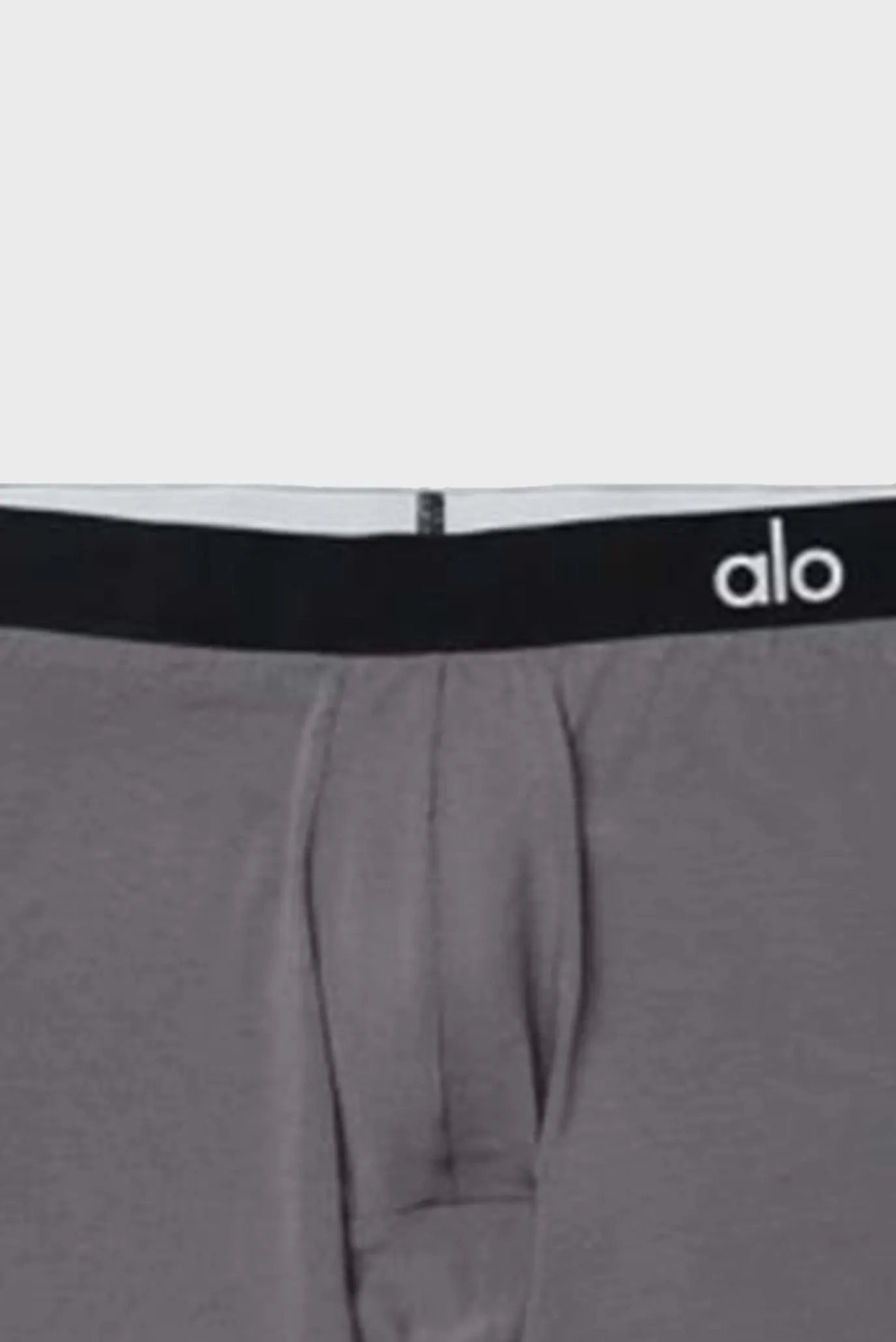 Alo Yoga Day and Night Boxer Grey 2